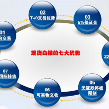 安徽美爾斯特投資 實(shí)業(yè)投資與電子商務(wù)技術(shù)開(kāi)發(fā)雙輪驅(qū)動(dòng)